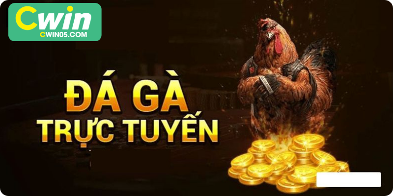 Đá Gà Mạng – Hướng Dẫn Tham Gia Cá Cược Online Hiệu Quả
