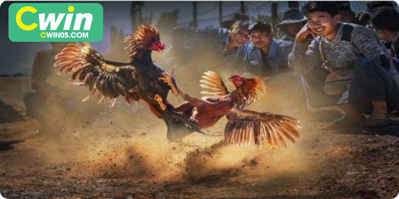 Chọn trận đấu phù hợp